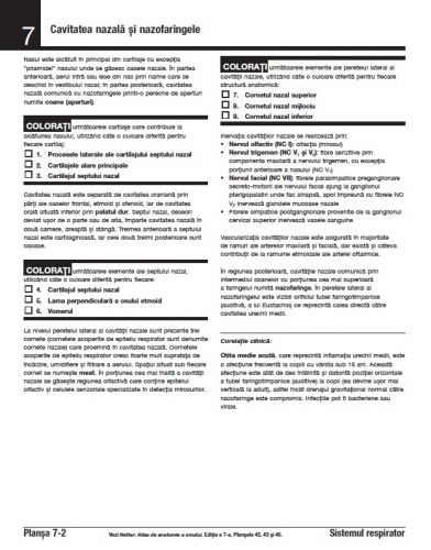 human anatomy atlas for pc torrent download human anatomy atlas for pc torrent download