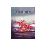 Microbiology A Clinical Approach