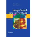 Image-Guided Spine Interventions