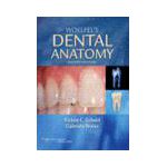 Woelfel's Dental Anatomy Its Relevance to Dentistry