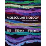 Molecular Biology Principles and Practice