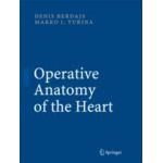 Operative Anatomy of the Heart