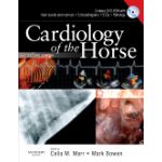 Cardiology of the Horse