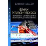 Human Neurophysiology: Development & Repair of the Human Central Nervous System