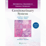 Differential Diagnoses in Surgical Pathology: Genitourinary System