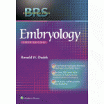 BRS Embryology