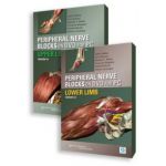 Peripheral Nerve Blocks on DVD Version 3 for PC