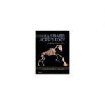 The Illustrated Horse's Foot A COMPREHENSIVE GUIDE