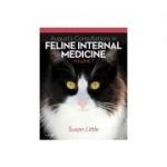 August's Consultations in Feline Internal Medicine, Volume 7