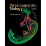 Developmental Biology