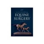 Equine Surgery