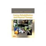 Canine Rehabilitation and Physical Therapy