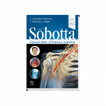 Sobotta Clinical Atlas of Human Anatomy, one volume