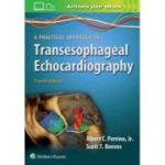 A Practical Approach to Transesophageal Echocardiography