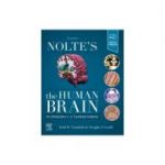 Nolte's The Human Brain,
An Introduction to its Functional Anatomy