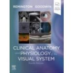 Clinical Anatomy and Physiology of the Visual System