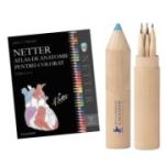 Netter Atlas de anatomie pentru colorat