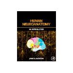 Human Neuroanatomy