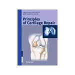 Principles of Cartilage Repair