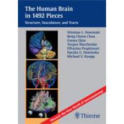 The Human Brain in 1, 492 Pieces Structure, Vasculature and Tracts