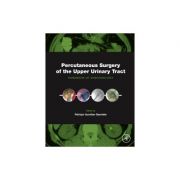 Percutaneous Surgery of the Upper Urinary Tract, Handbook of Endourology
