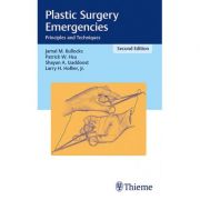 Plastic Surgery Emergencies Principles and Techniques