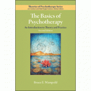 The Basics of Psychotherapy:
An Introduction to Theory and Practice
