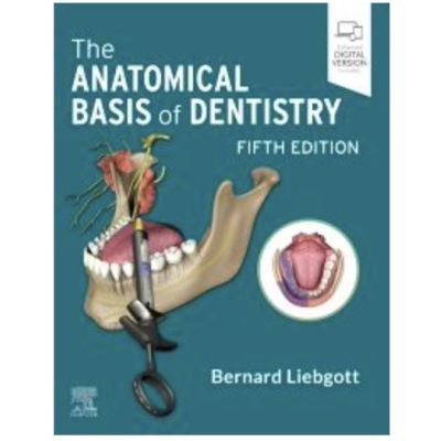 The Anatomical Basis of Dentistry